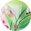 bionsen morning caress mini